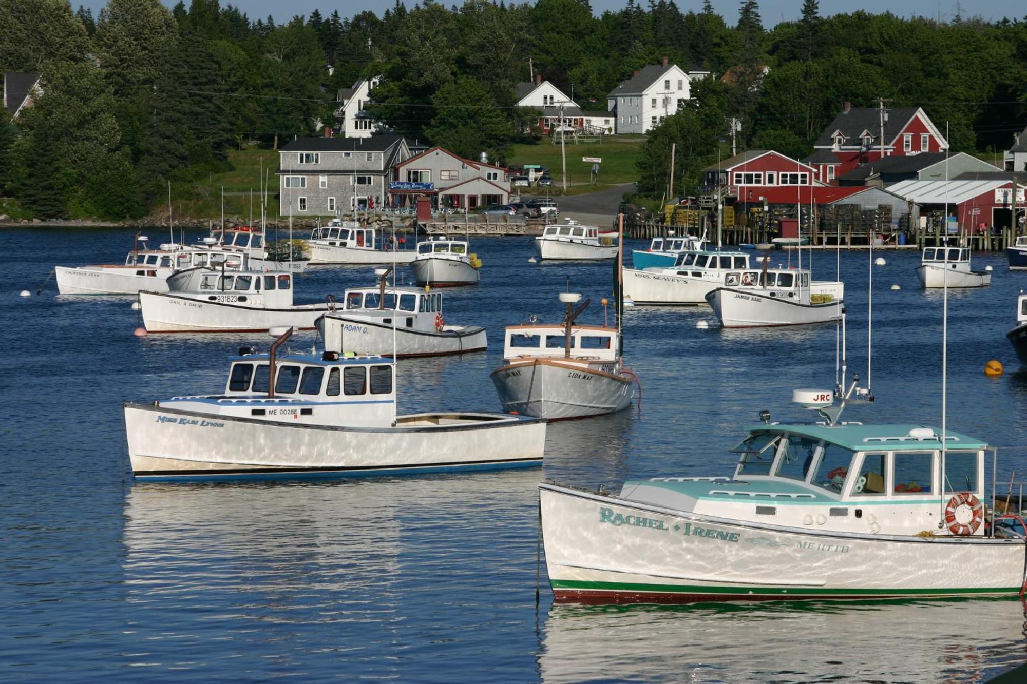 Lighthouse Cabins Maine Bass Harbor Buitenkant foto
